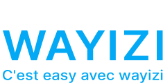 wayizi logo